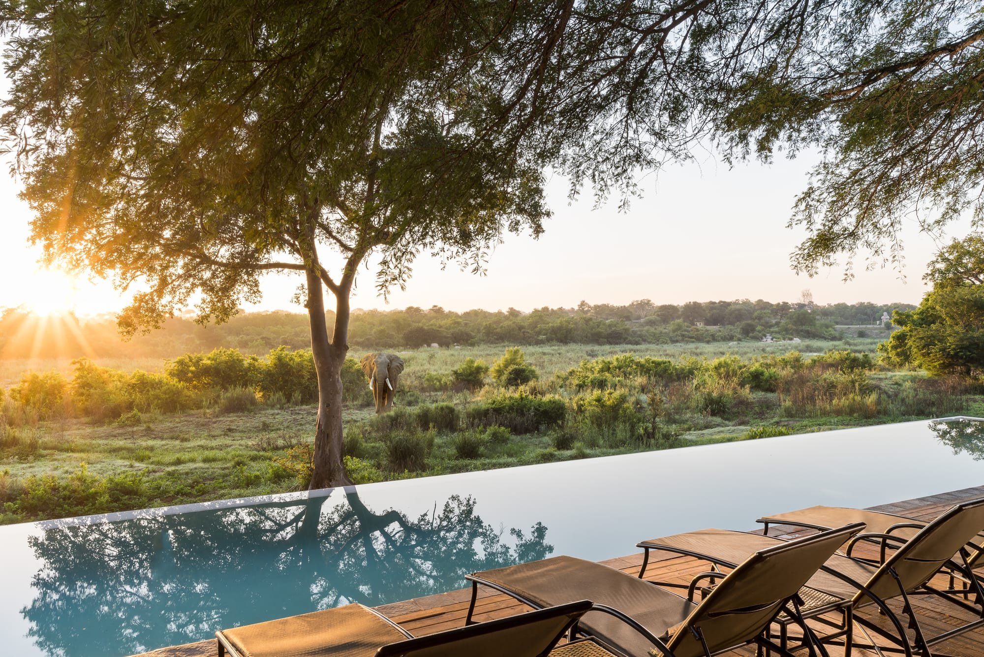 3 reasons why you should take a quarterly holiday to the Kruger