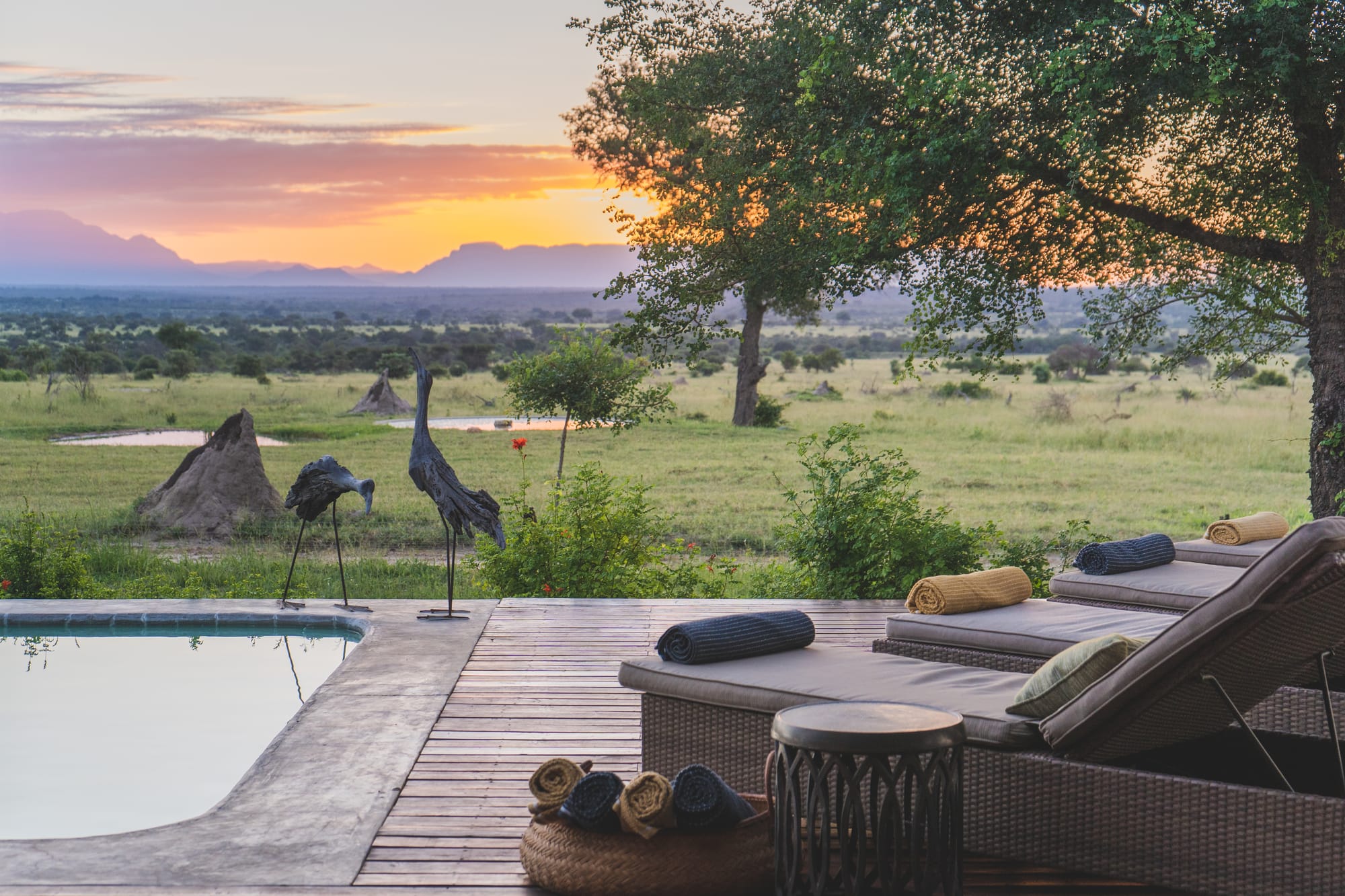 Walkers Plains Camp to open in The Timbavati Private Nature Reserve (Greater Kruger)