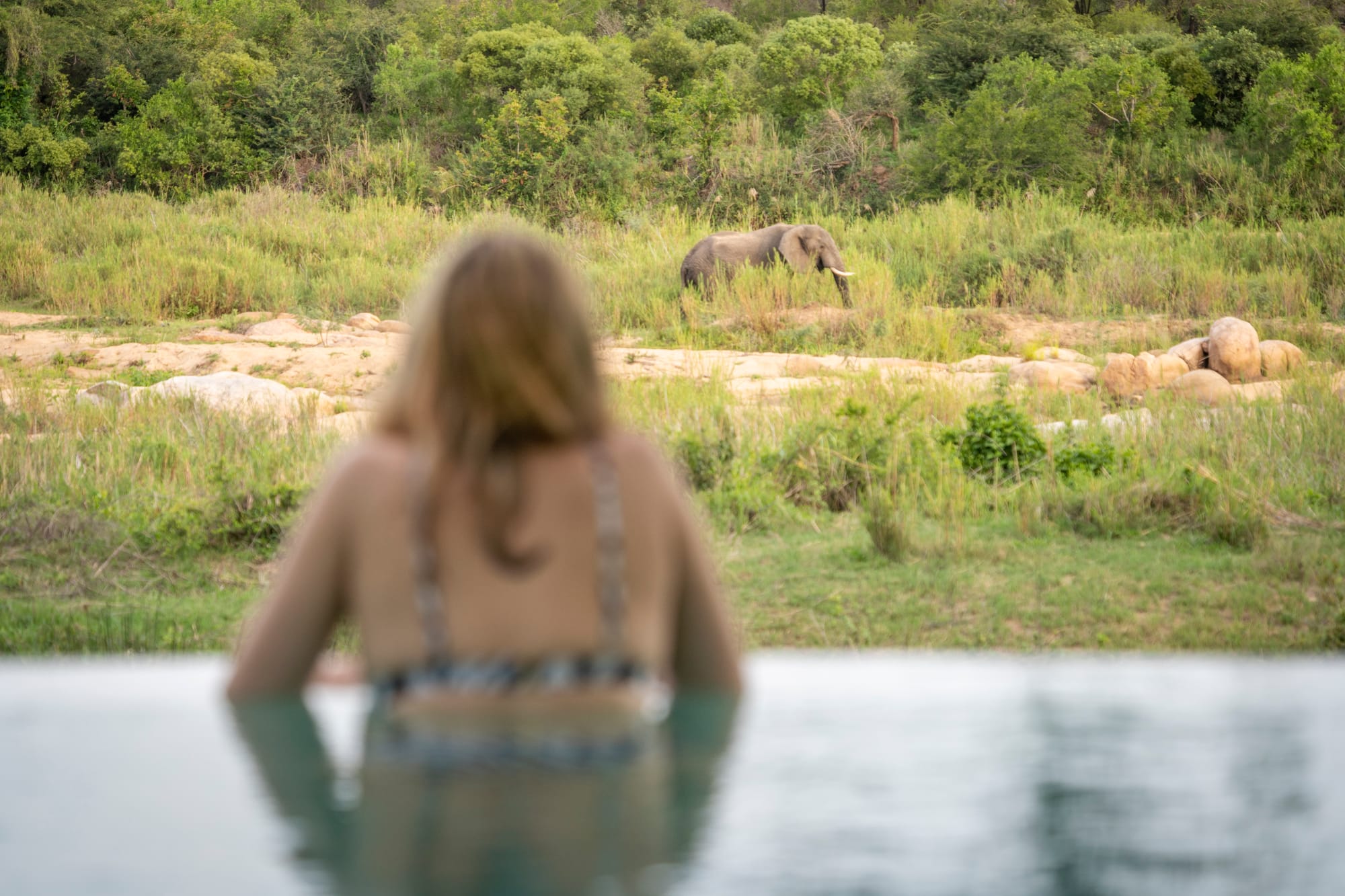 Make The School Holidays A Roaring Adventure
