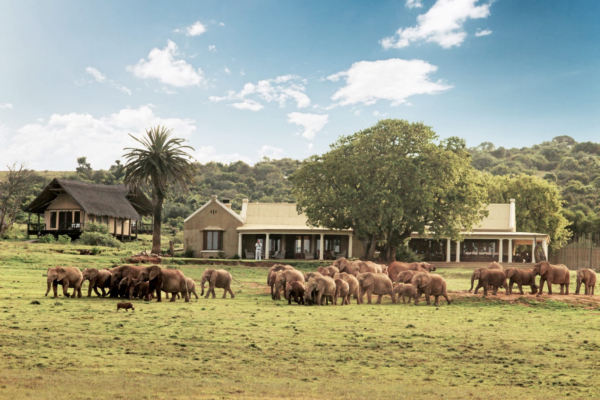 Gorah Elephant Camp: The Ultimate Safari Escape