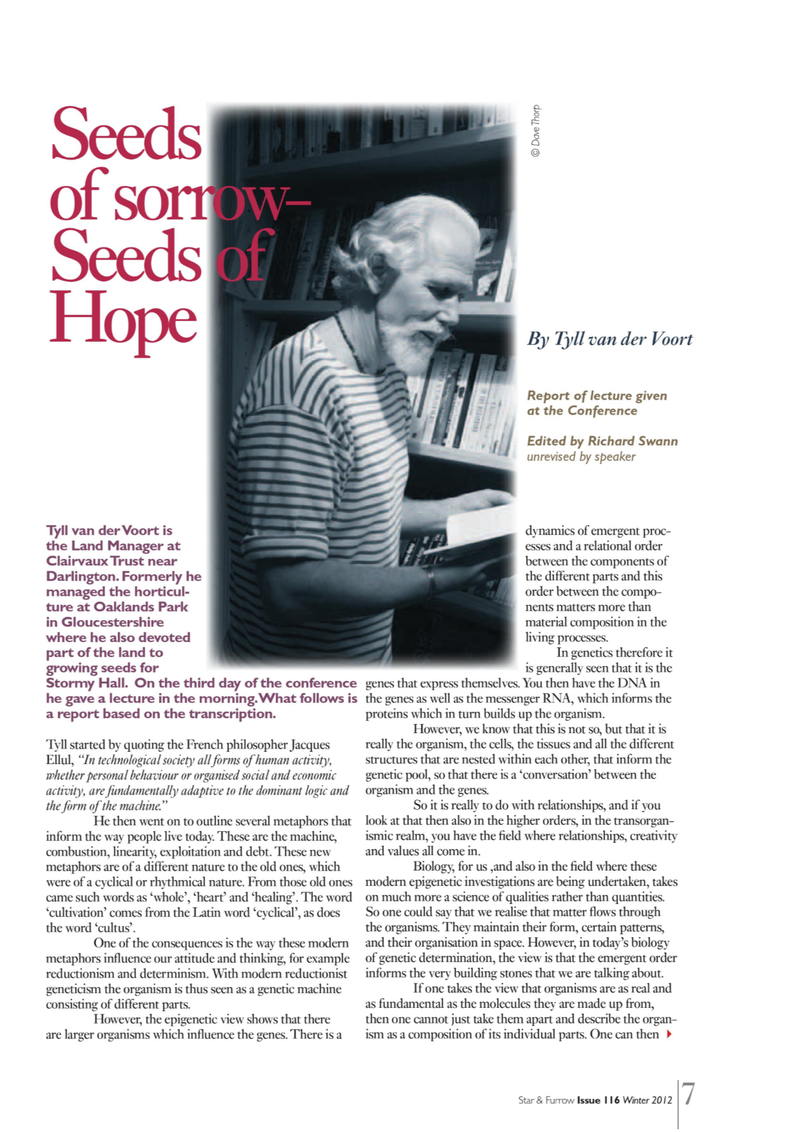 Seeds of Sorrow, Seeds of Hope - article