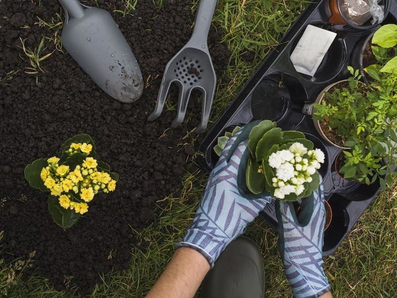 Types of Garden Gloves For Those Who Hate Gently Washing Their Hands