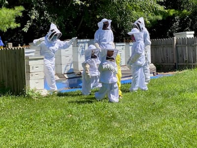 bee keeping image