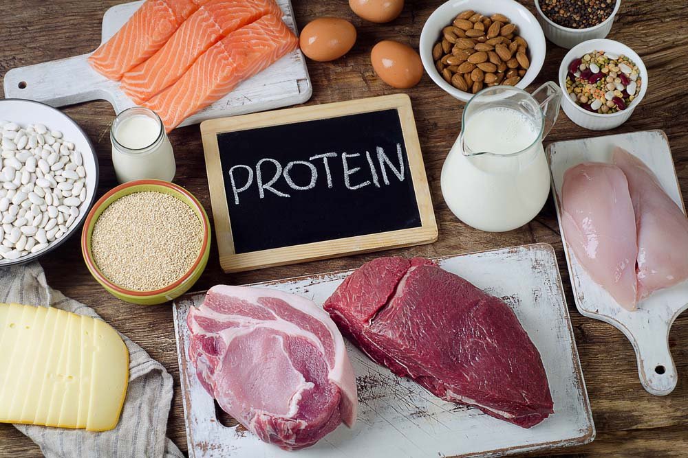 Quels apports en protéine ?