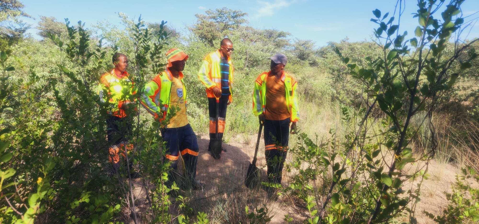 Terravox commences a large scale exploration project in Geita district, Tanzania | March 2024