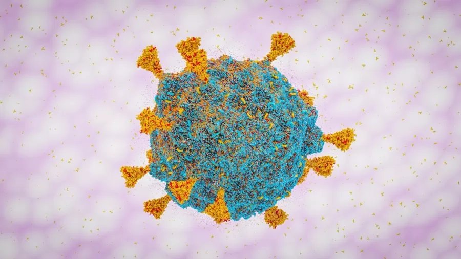Anvisa identifica dois casos da nova variante do coronavírus no Brasil