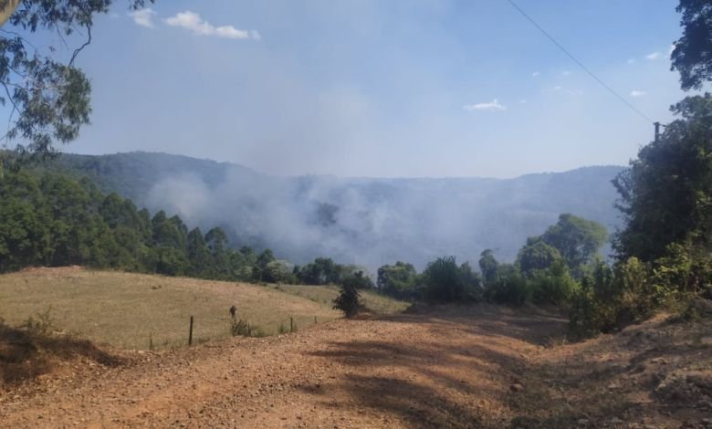 Incêndio em vegetação atinge mais de cinco hectares de terra em Doutor Ricardo