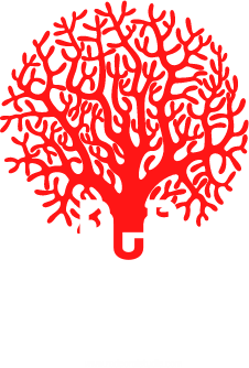 Red Coral Design Studio