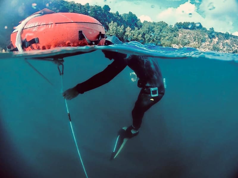Sorties apnée / pêche sous marine