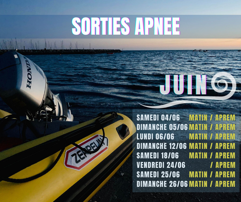 planning sorties Juin 2022