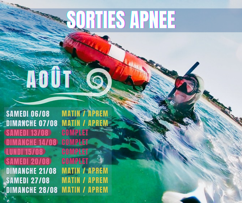 PLANNING SORTIES AOUT 2022