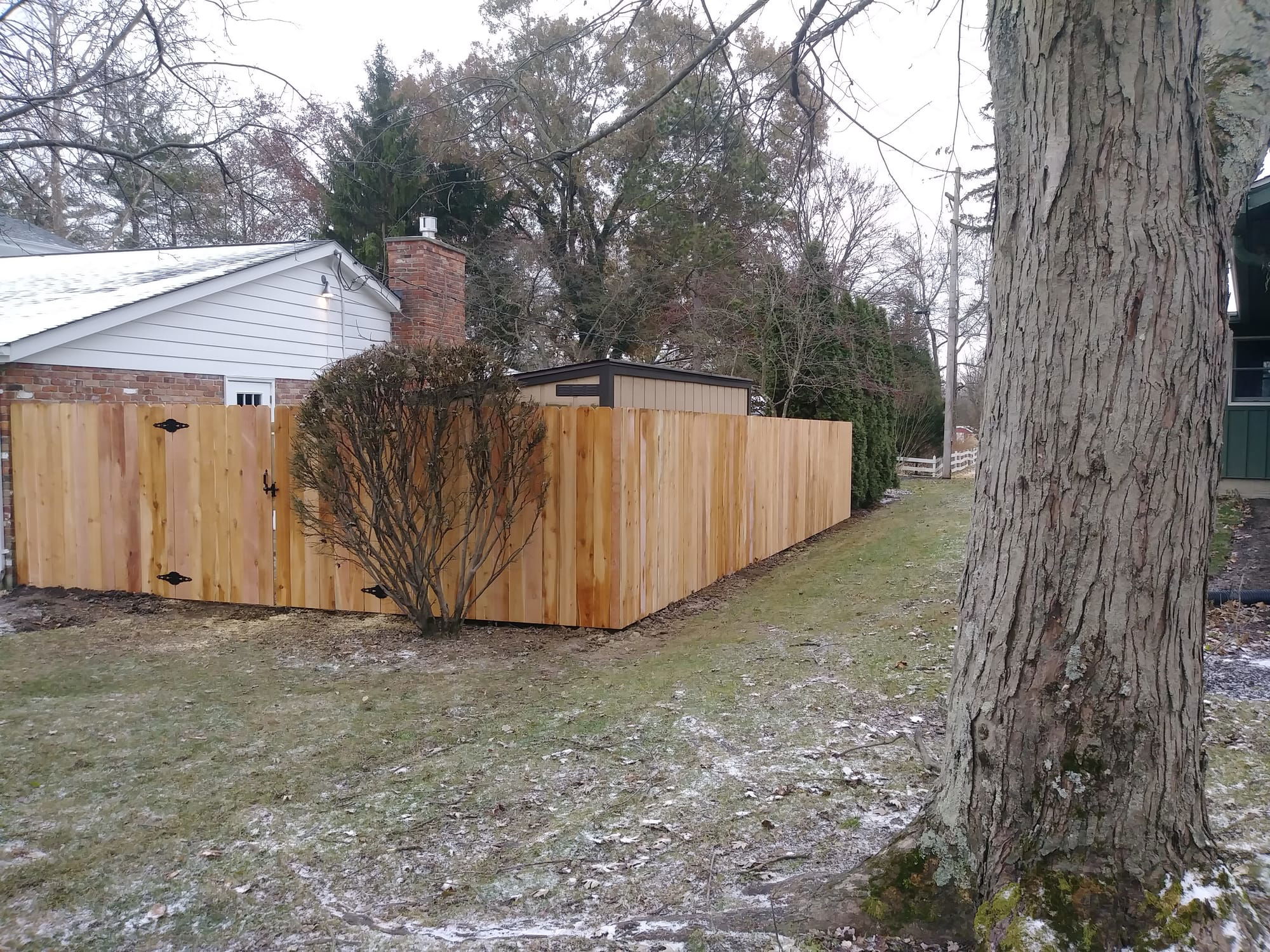 6' Tall Western Red Cedar Privacy