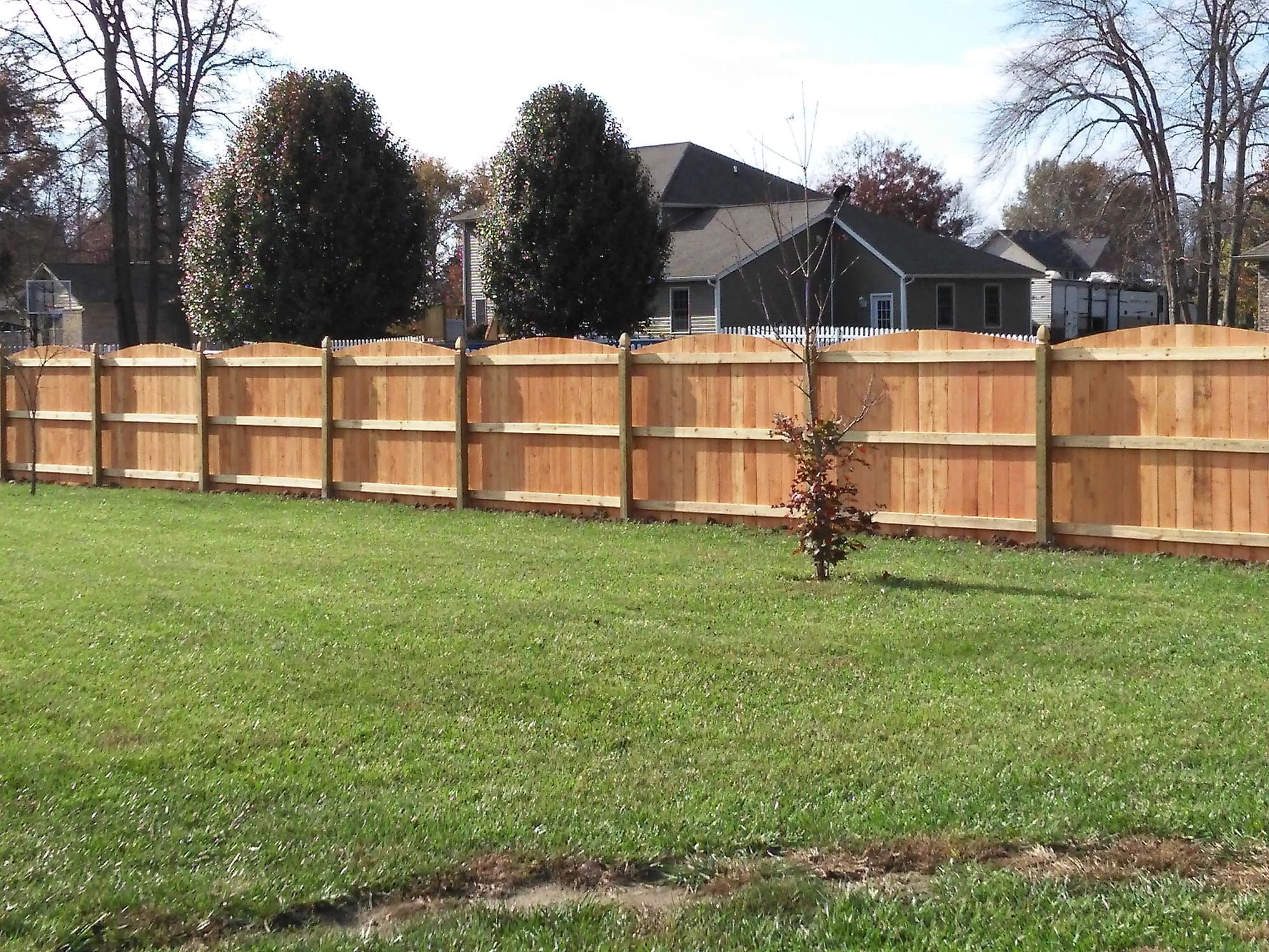 6' Tall Roll Top Western Red Cedar