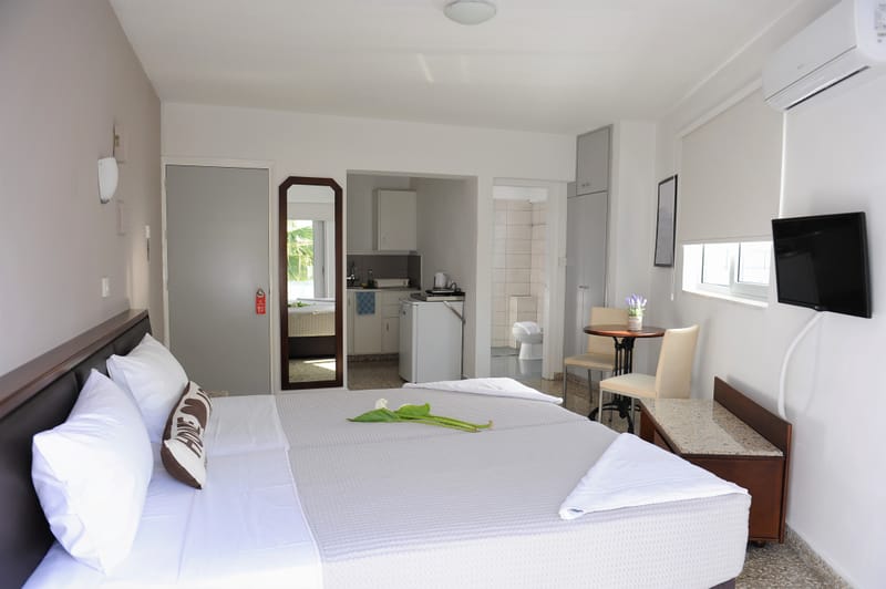 Superior Studio apartment