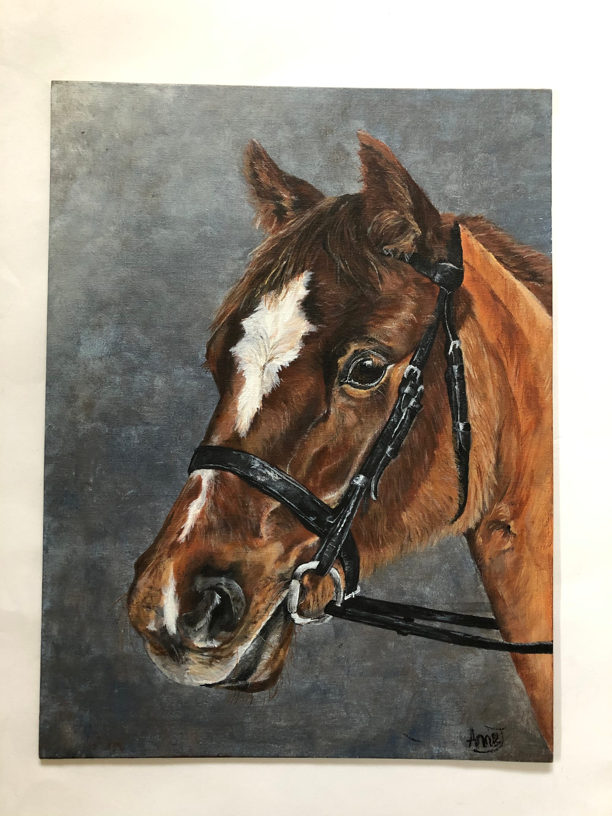 Horse portrait