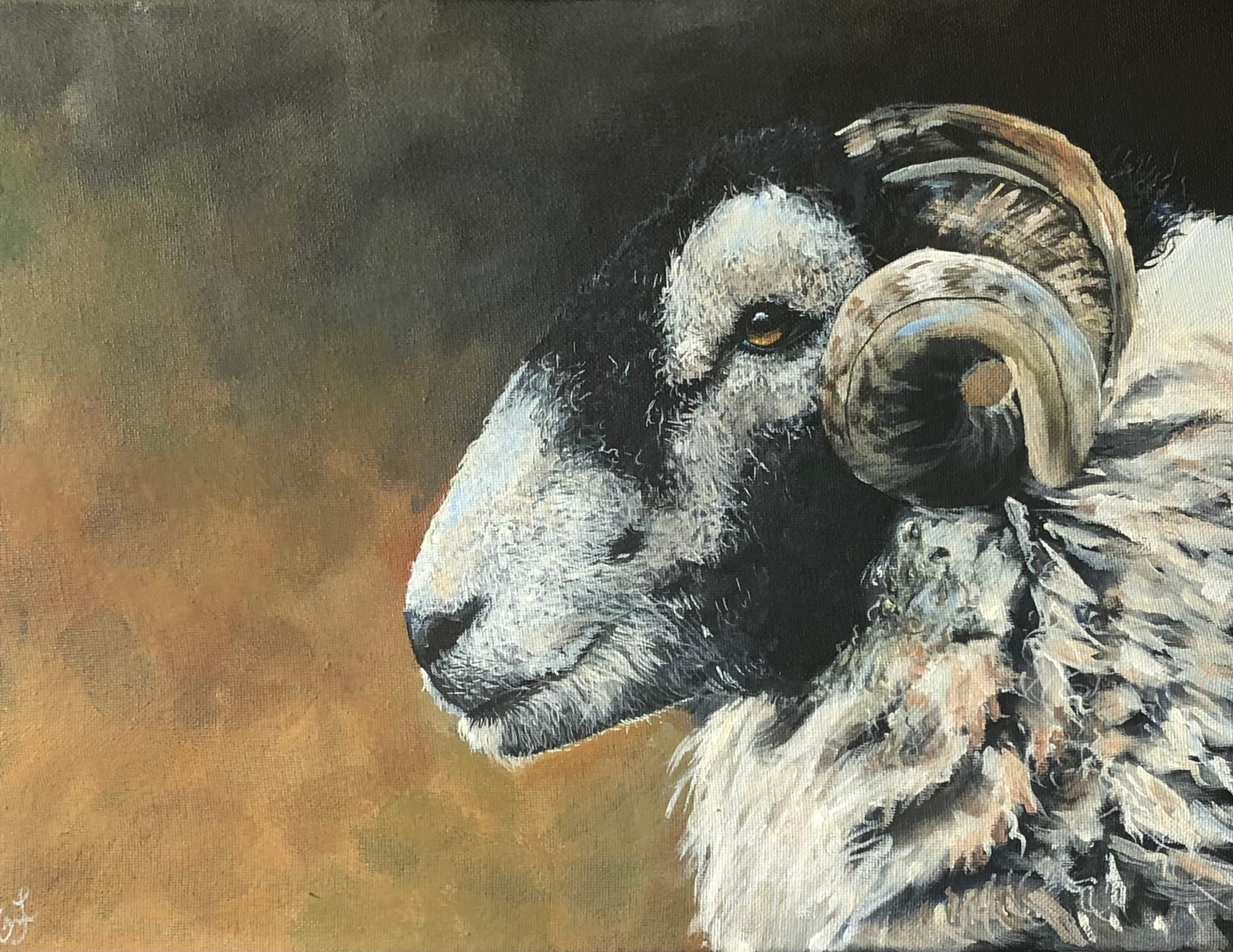 SOLD Baaaaa