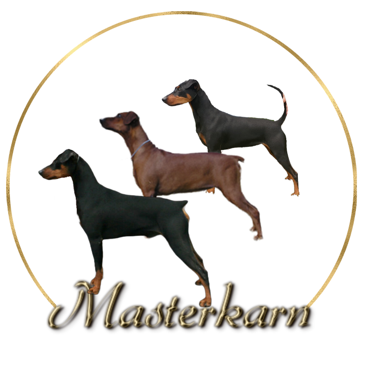 Masterkarn kennels - breed history