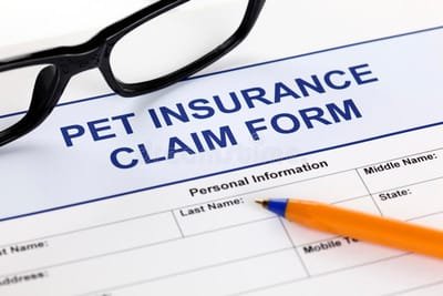 Pet Insurance Cost - Should You Pay More Or Gets Less? image