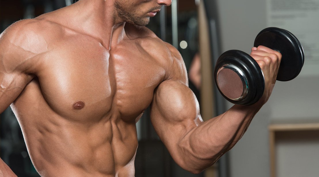 What are the exercises of biceps?