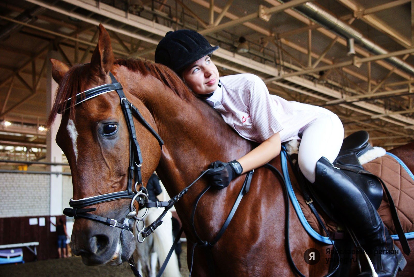 Кск мама. Фотосессия с лошадьми. Конноспортивная школа. Лошади конный спорт.