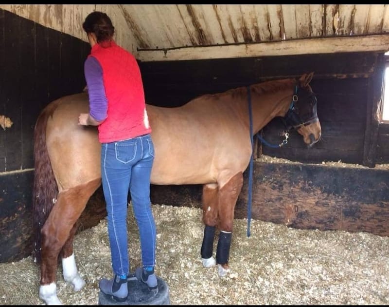 Merishia massage consultation