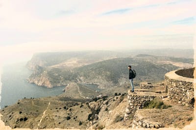 Александр Довянский