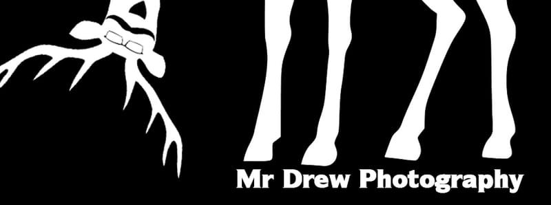 Mr Drew Photography