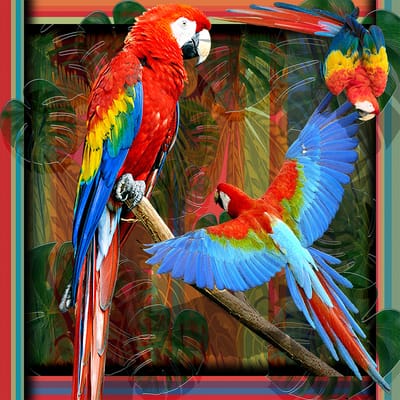Bienvenue sur notre site image