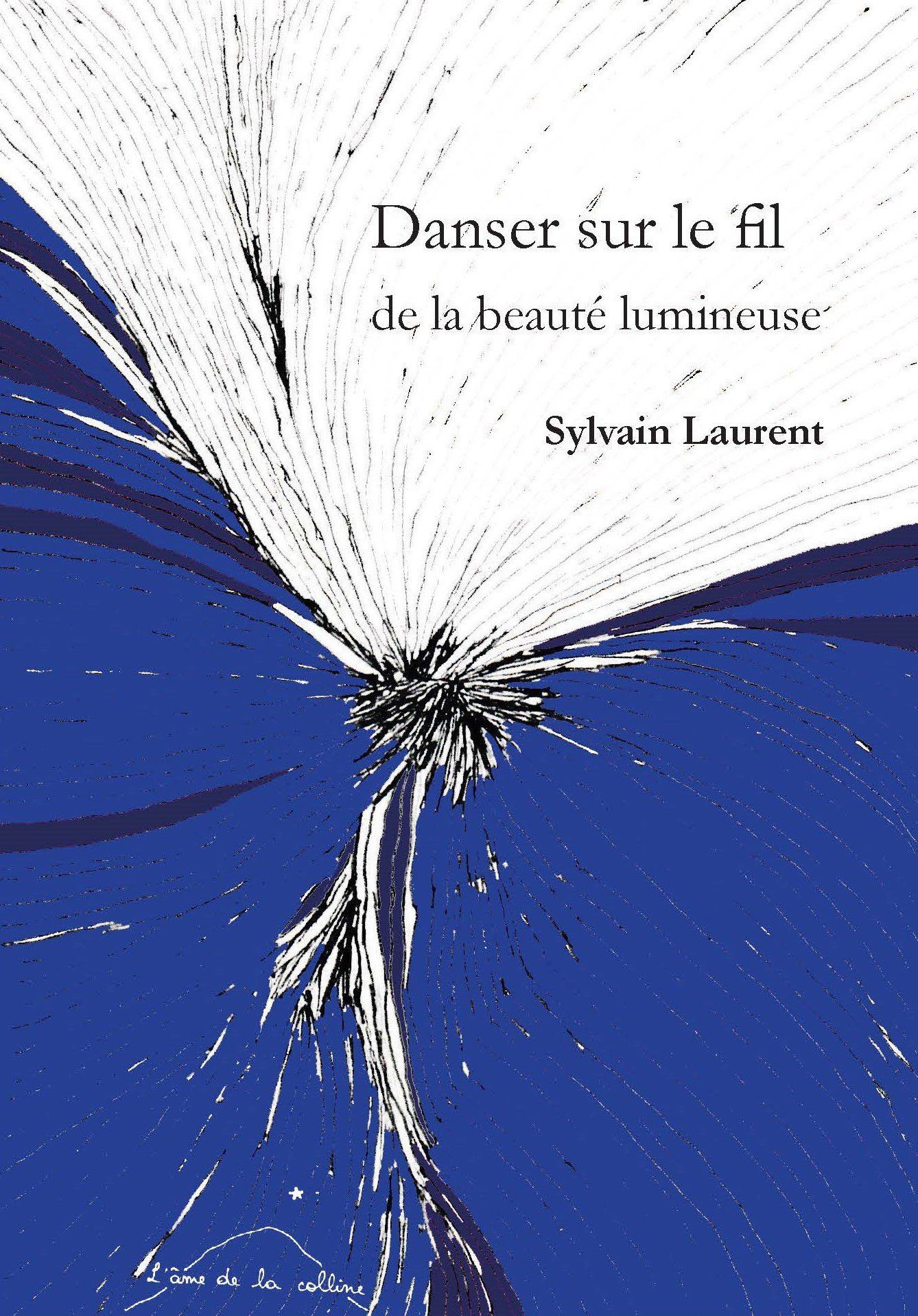 Danser sur le fil de la beauté lumineuse, Sylvain LAURENT