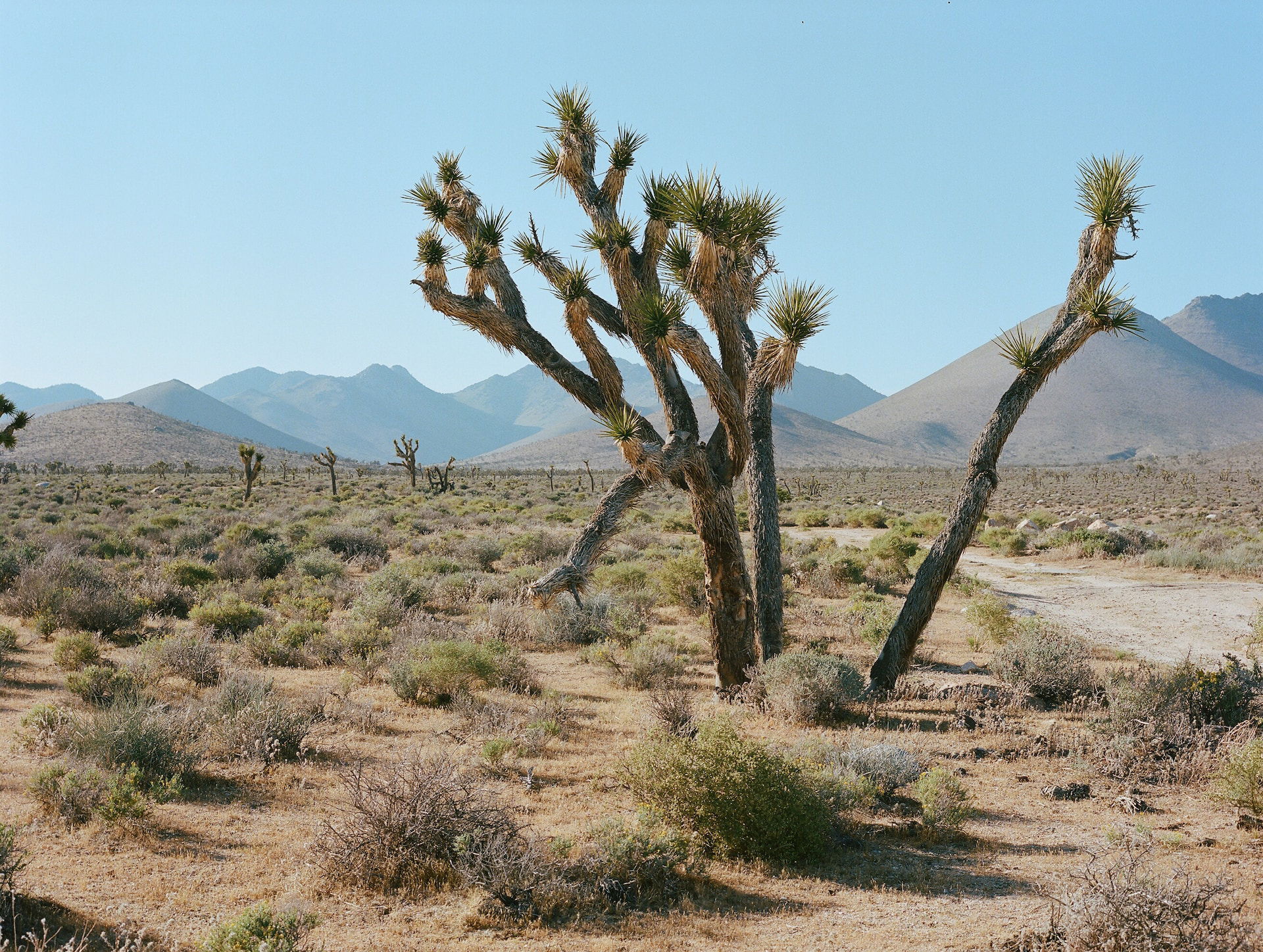 When Did You Travel Through the Valley of Death?