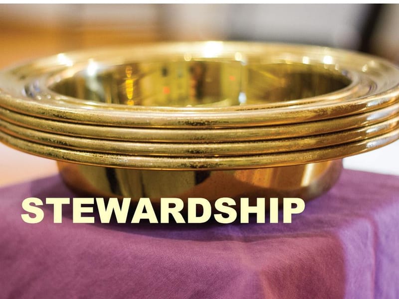Board of Stewardship and Finance