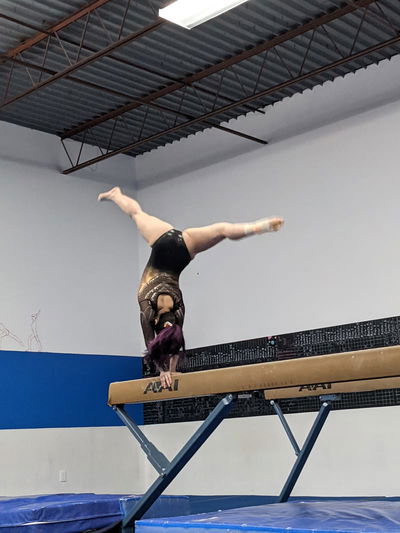 Texas Gymnastics - Welcome to Texas Gymnastics!