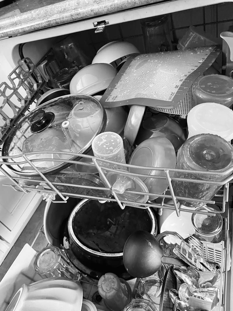 Dishwasher Job Pros And Cons