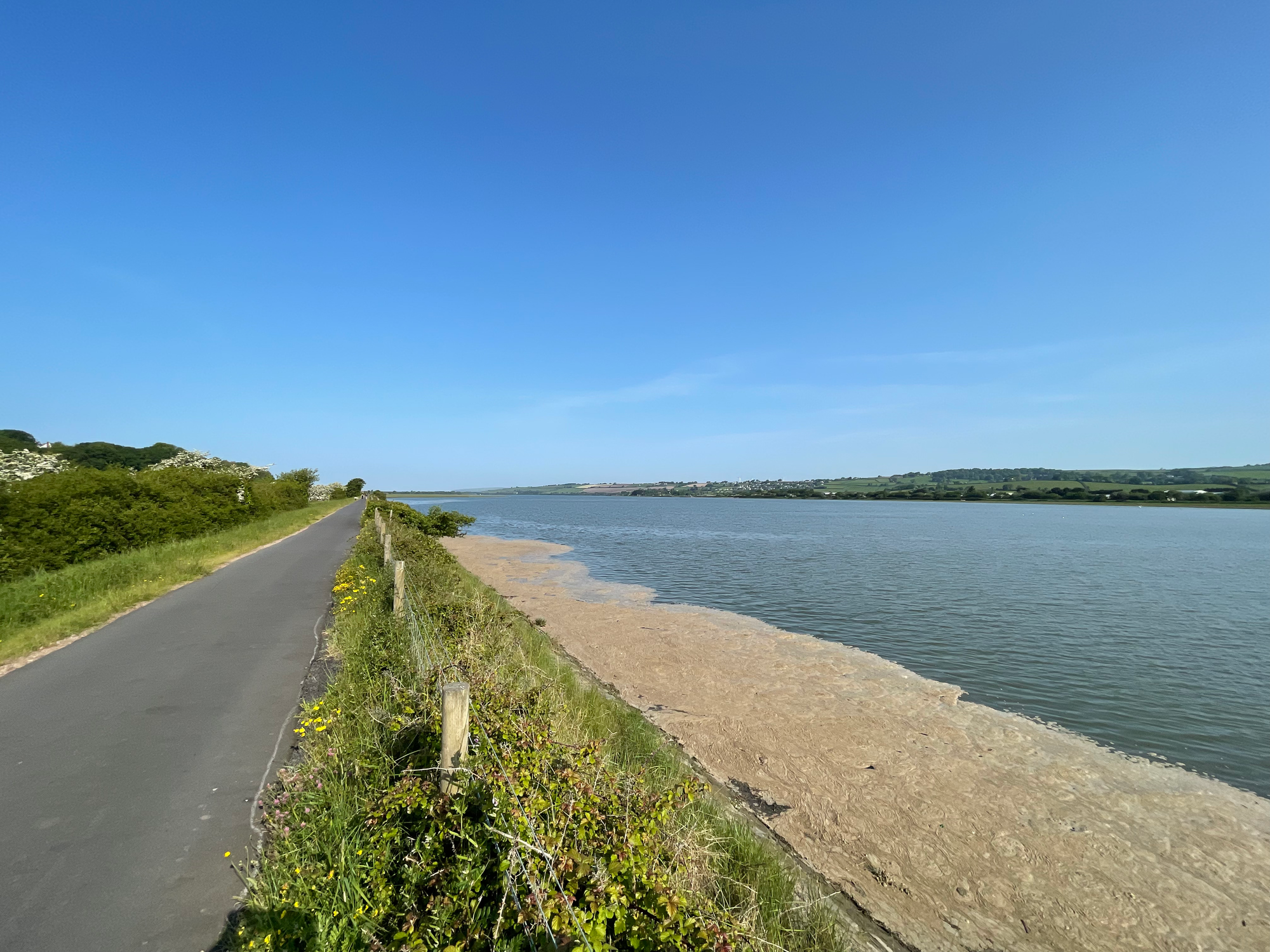 Day 7 - More tarmac around the estuary, the brown area to the right isn't sand but is froth on the water, caused by algae not pollution