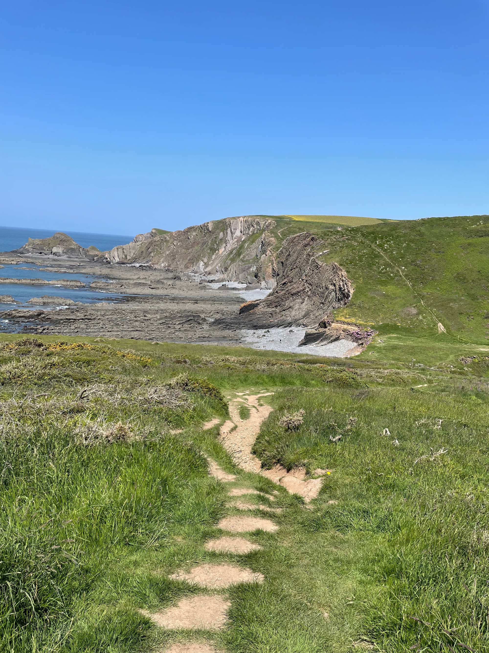Day 9 - The path opening out onto cliff tops around Hartland