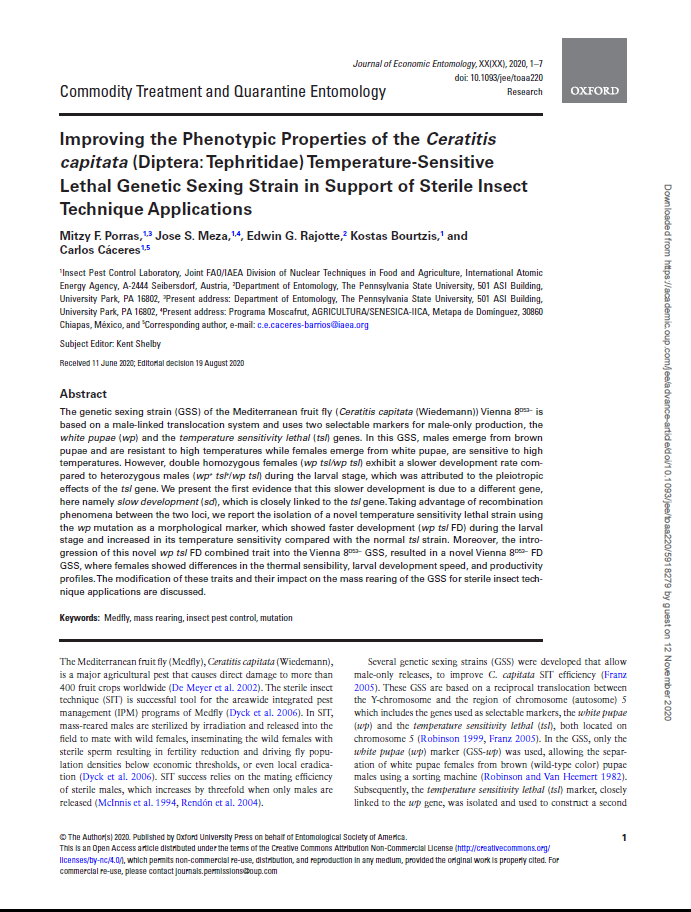 Improving the Phenotypic Properties of the Ceratitis capitata (Diptera: Tephritidae) Temperature-Sensitive Lethal Genetic Sexing Strain in Support of Sterile Insect Technique Applications