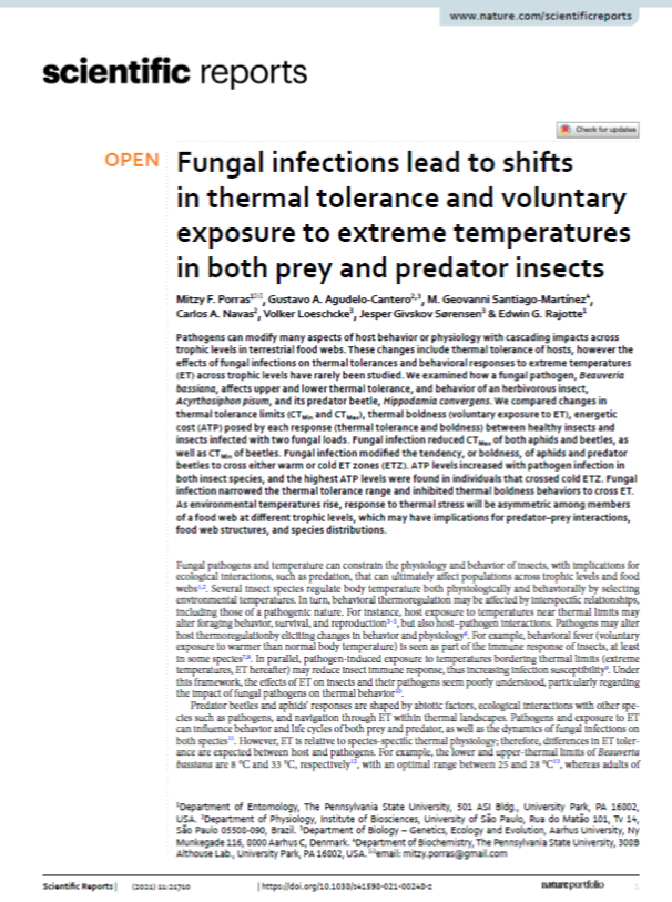 Fungal infections lead to shifts in thermal tolerance and voluntary exposure to extreme temperatures in both prey and predator insects
