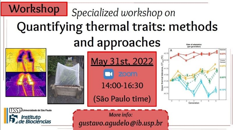 Quantifying thermal traits: methods and approaches