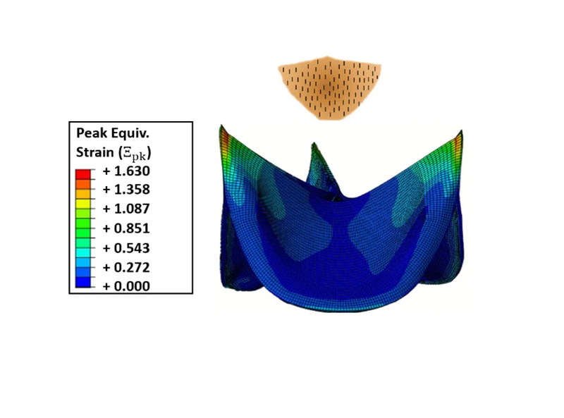 PROSTHETIC HEART VALVE MECHANICS