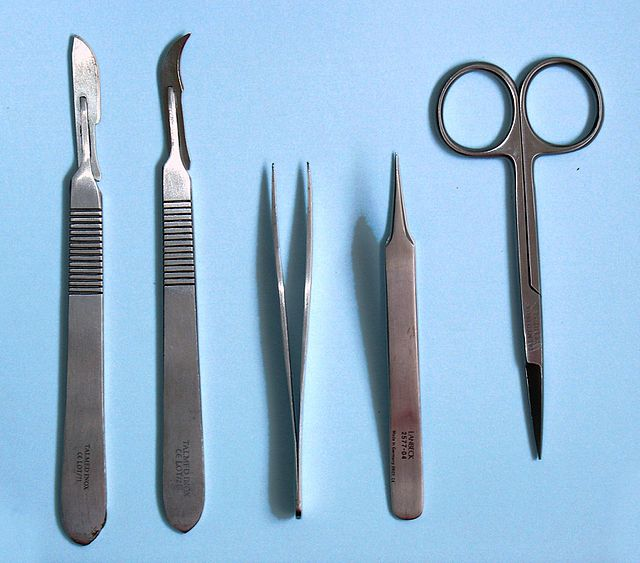 Scissors, Dissecting, Home Science Tools