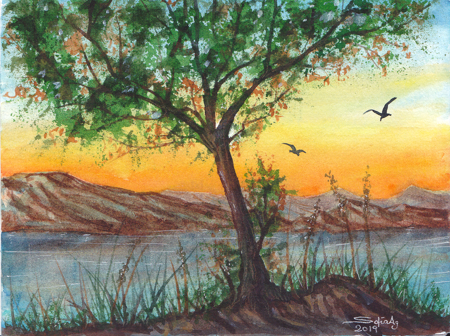 Sunset
