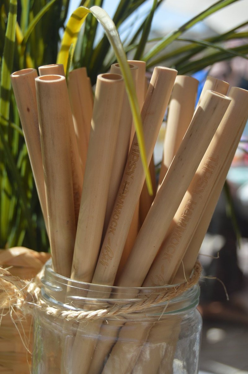 SINGLE BAMBOO STRAW Tipsy Hammock