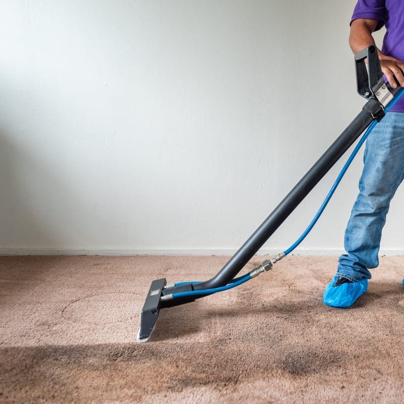 Carpet Cleaning Service Alameda And Its Hidden Advantages