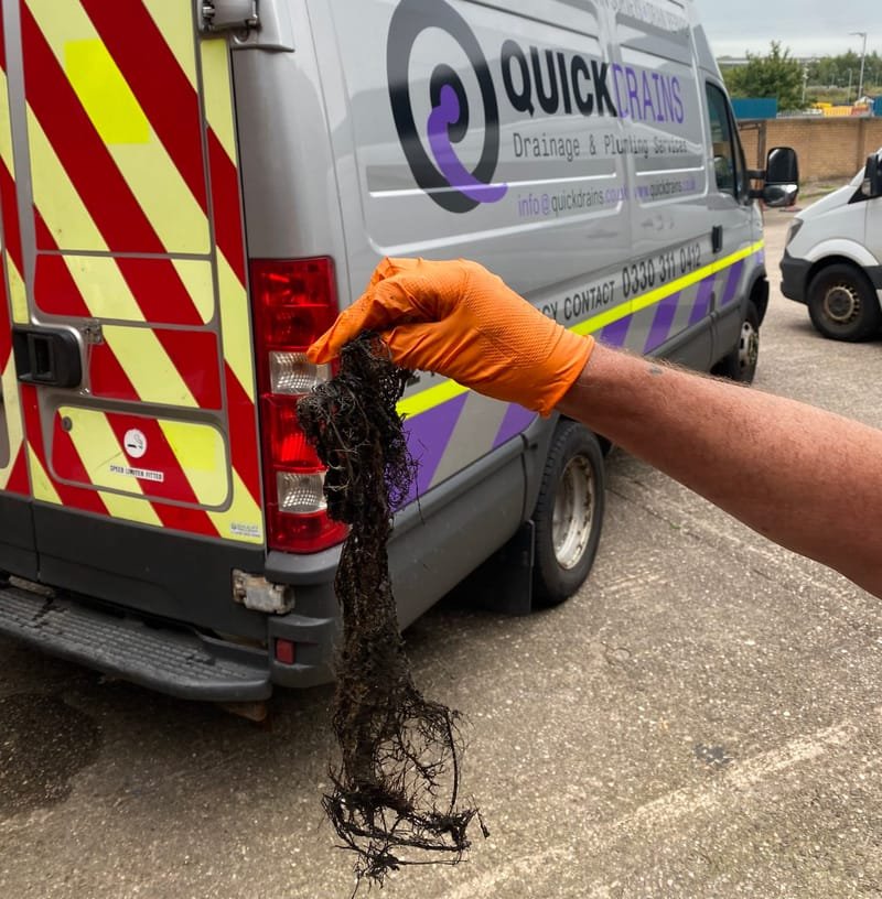 Remove Tree Roots From Drains Manchester