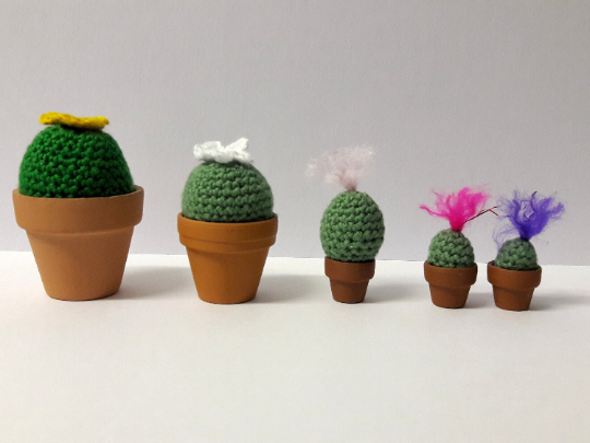 Hooked! Crochet a miniature Cacti