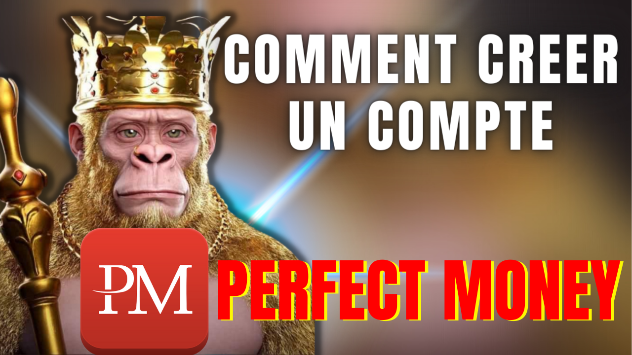 #PERFECTMONEY: COMMENT CRÉE UN COMPTE ET COMPRENDRE LE FONCTIONNEMENT D'UN COMMENT PERFECT MONEY