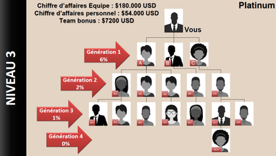 Niveau 3 : récompense allouée image