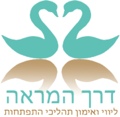 דרך המראה - דניאלה קליין