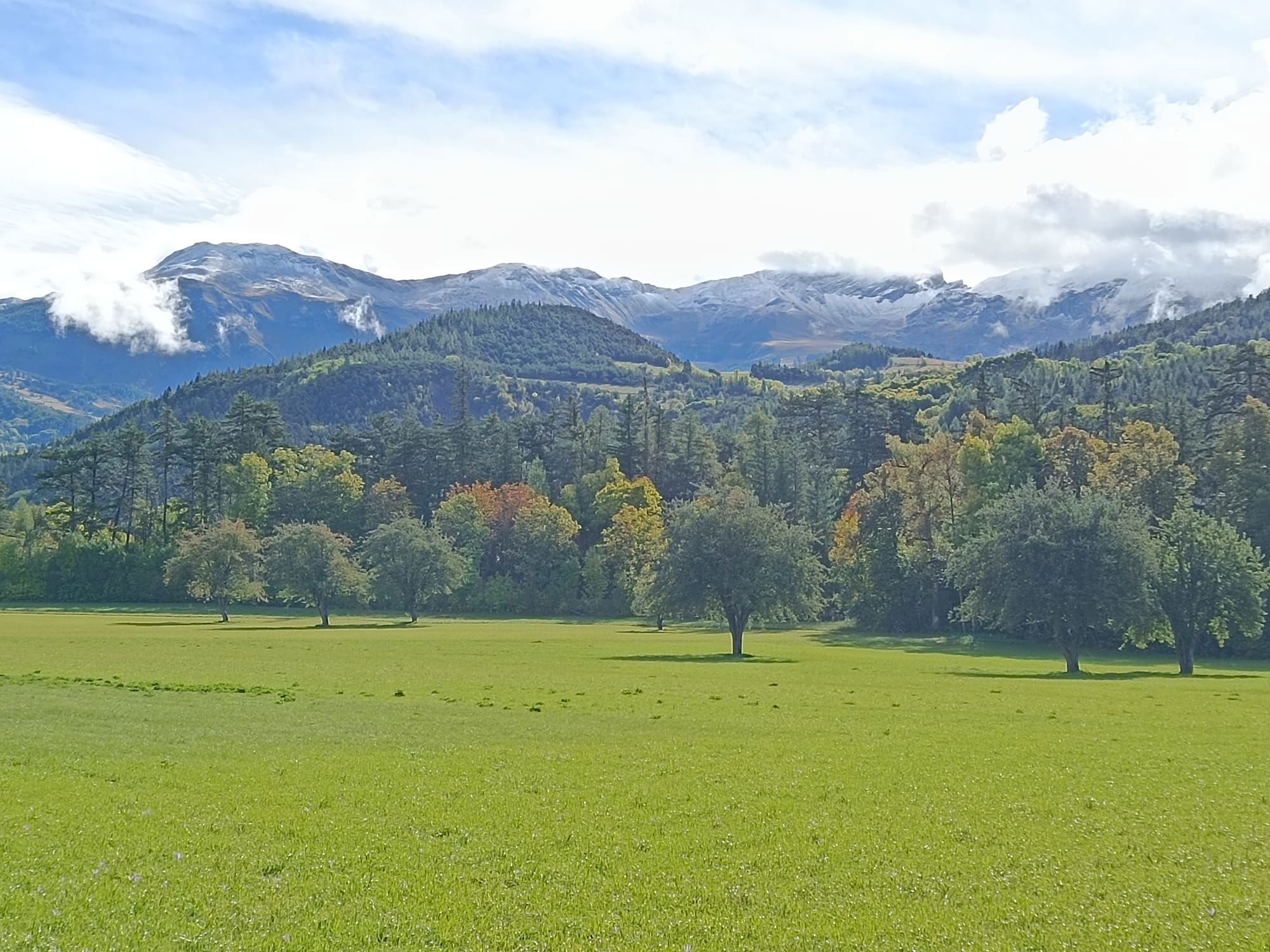 secteur barcelonnette