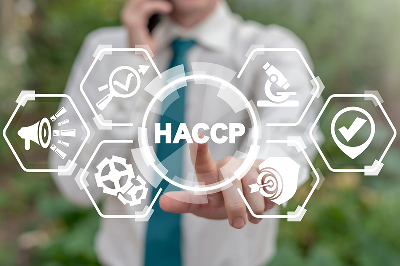 Consulenza e Formazione HACCP